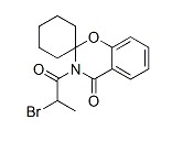 史密斯中央熱水05